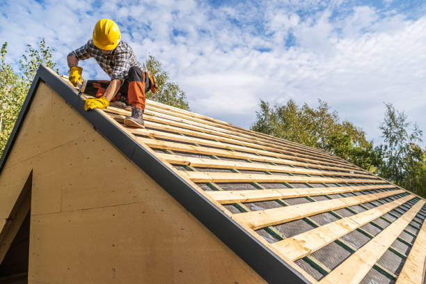 Best Roof Gutter Cleaning  in Plentywood, MT